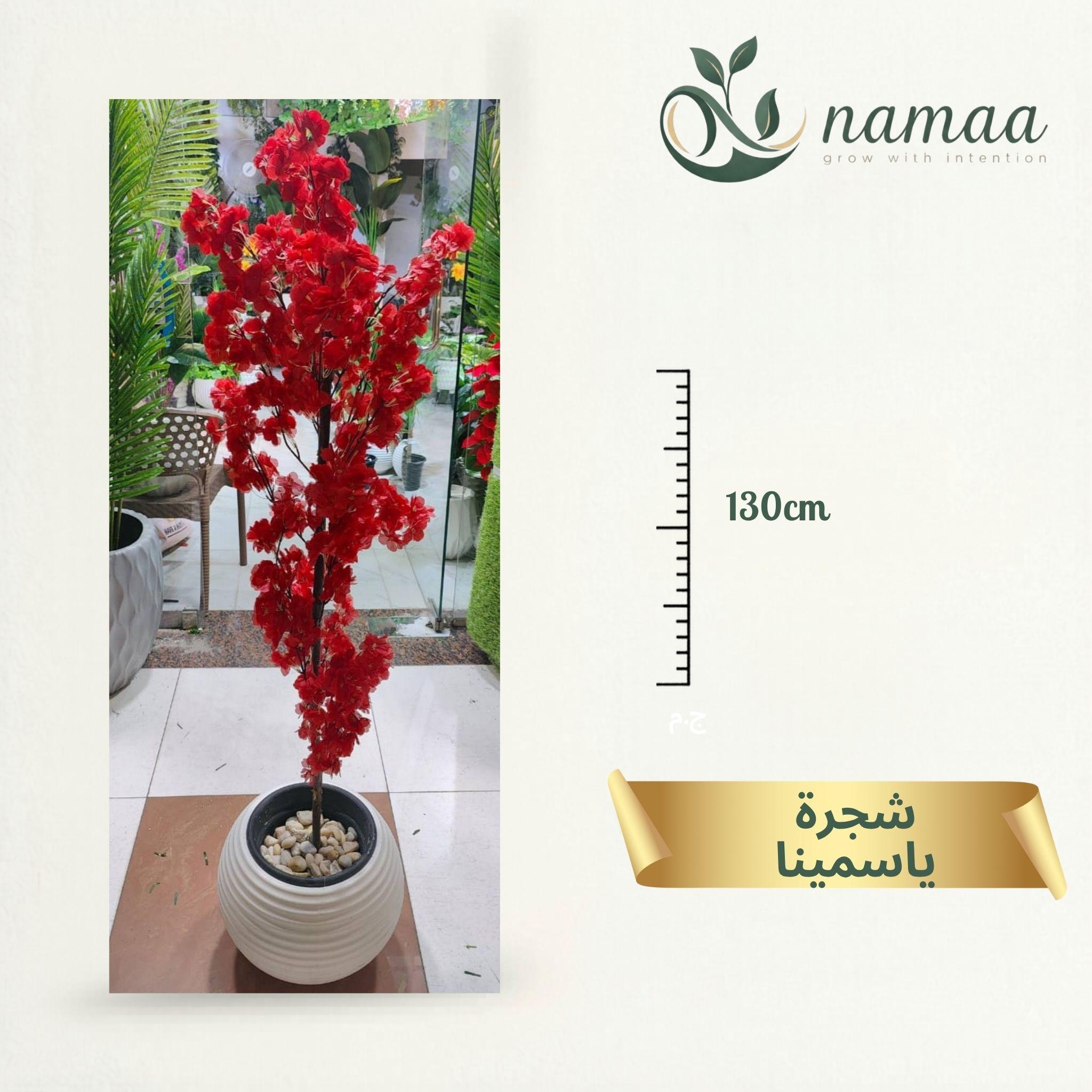 Yassmin Tree