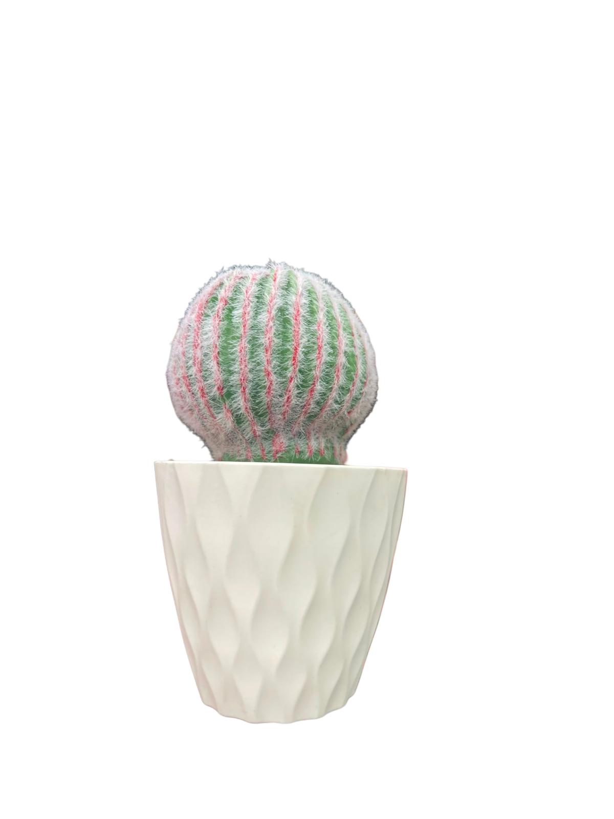 Plastic Cactus Vase