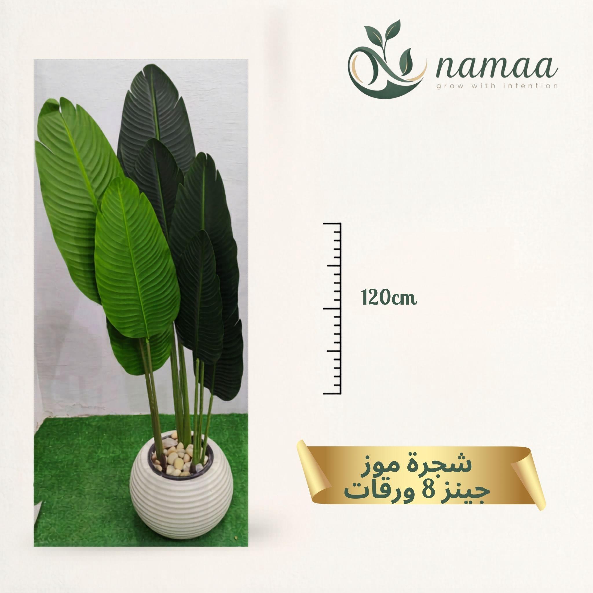 Banana tree